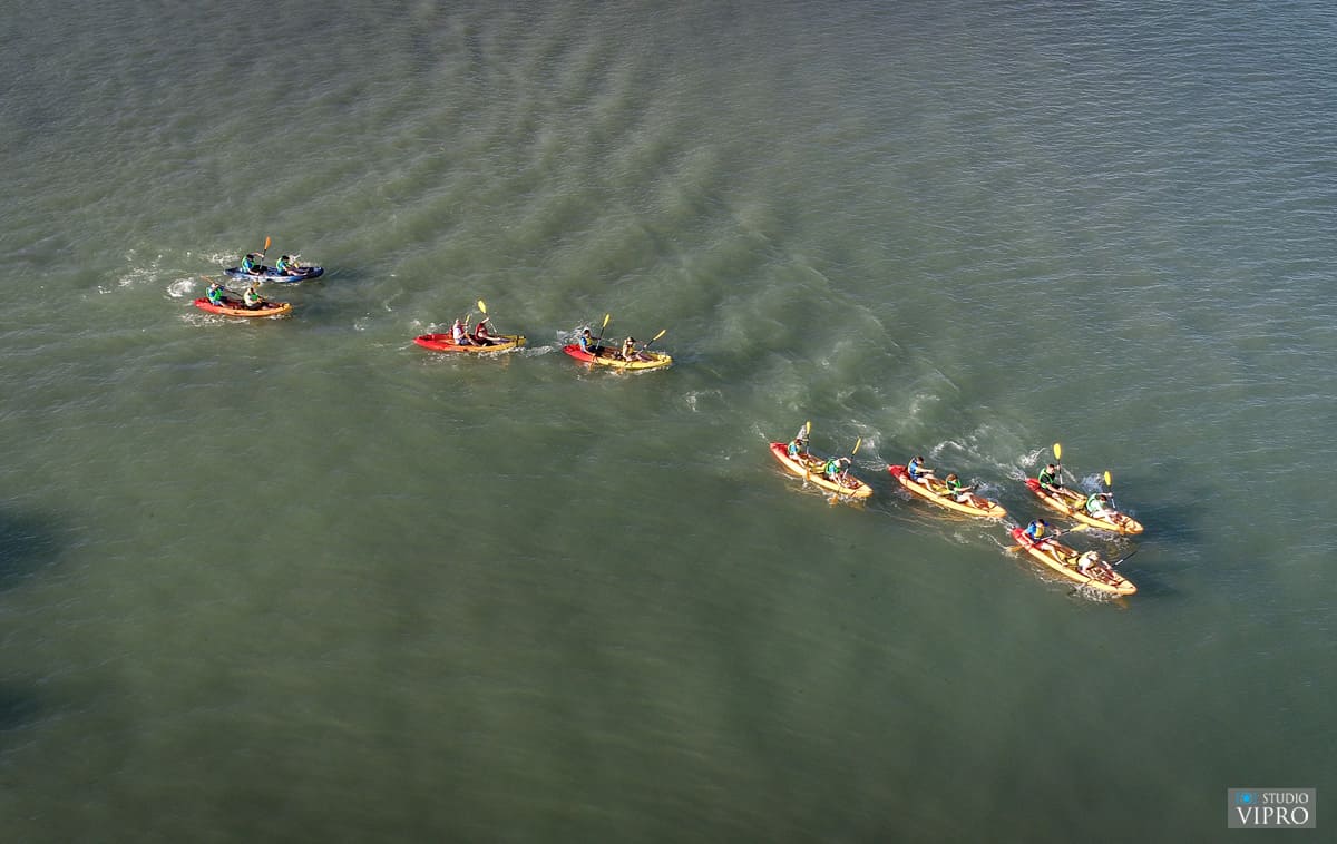 LOV NA LABUĐE PERO 2024.